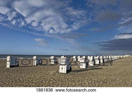 Covered Beach Chairs On Empty Sandy Beach View Large Photo Image Stock Photograph - Covered Beach Chairs On Empty Sandy Beach. Fotosearch