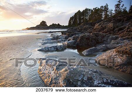 Cox Bay And Sunset Point At Low Tide And At Sunset Near Tofino; British Columbia Canada View Large Photo Image Stock Photo - Cox Bay And Sunset Point At Low Tide And At Sunset Near Tofino; British Columbia Canada. Fotosearch