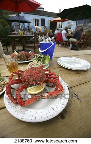 Stock Image - Crab served at Anchorage seafood cafe; Dittisham, Devon, England. Fotosearch