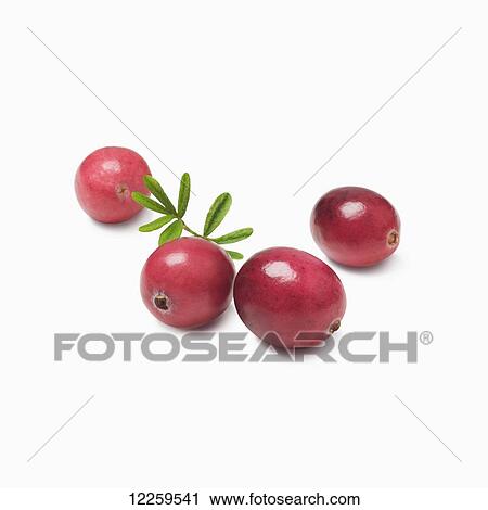 Stock Image - Cranberries on a white background. Fotosearch