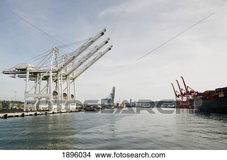 Picture - Cranes In A Shipyard With Cargo Containers; Seattle, Washington, United States Of America. Fotosearch