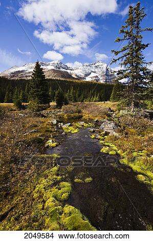Creek And Odaray Mountain, Yoho National Park, British Columbia View Large Photo Image Picture - Creek And Odaray Mountain, Yoho National Park, British Columbia. Fotosearch