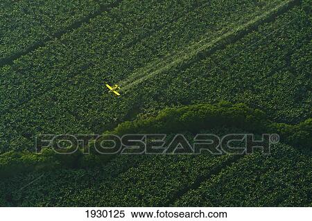 Stock Photography - Crop Dusting Plane Flying over Banana Fields Early in Morning Near Caribbean Coast of Costa Rica; Costa Rica. Fotosearch