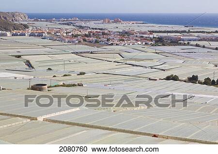 Crops Growing Under Plastic; Carchuna Granada Province Spain View Large Photo Image Stock Image - Crops Growing Under Plastic; Carchuna Granada Province Spain. Fotosearch