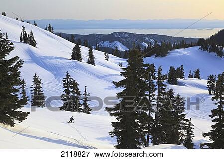 Stock Photo - Cross-Country Skier Descends The Slope Below Mount Steel In Tetrahedron Provincial Park; British Columbia Canada. Fotosearch