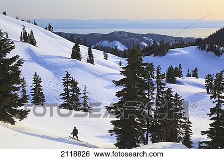 Stock Photograph - Cross-Country Skier Descends The Slope Below Mount Steel In Tetrahedron Provincial Park; British Columbia Canada. Fotosearch
