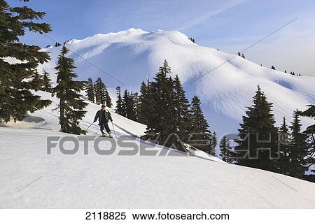Cross-Country Skier Descends The Slope Below Mount Steel In Tetrahedron Provincial Park; British Columbia Canada View Large Photo Image Stock Photography - Cross-Country Skier Descends The Slope Below Mount Steel In Tetrahedron Provincial Park; British Columbia Canada. Fotosearch