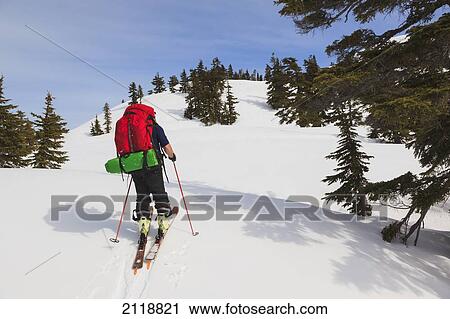 Stock Image - Cross-Country Skier On Trail To Edwards Lake Cabin And Mt. Steele Cabin In Tetrahedron Provincial Park; British Columbia Canada. Fotosearch