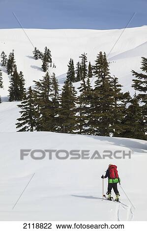 Cross-Country Skier On Trail To Edwards Lake Cabin And Mt. Steele Cabin In Tetrahedron Provincial Park; British Columbia Canada View Large Photo Image Stock Image - Cross-Country Skier On Trail To Edwards Lake Cabin And Mt. Steele Cabin In Tetrahedron Provincial Park; British Columbia Canada. Fotosearch