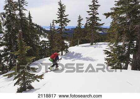 Stock Photo - Cross-Country Skier On Trail To Edwards Lake Cabin In Tetrahedron Provincial Park; British Columbia Canada. Fotosearch