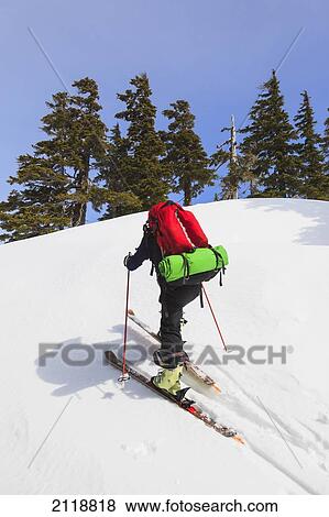 Stock Photo - Cross-Country Skier On Trail To Edwards Lake Cabin In Tetrahedron Provincial Park; British Columbia Canada. Fotosearch