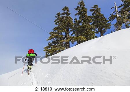 Stock Photo - Cross-Country Skier On Trail To Edwards Lake Cabin In Tetrahedron Provincial Park; British Columbia Canada. Fotosearch