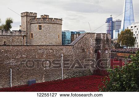 Crowds gather at the Tower of London to see the almost 900, 000 ceramic poppies commemorating the UK and Commenwealth war dead of World War One which had the 100th anniversary of the start of the war in 2014; London, England View Large Photo Image Stock Photo - Crowds gather at the Tower of London to see the almost 900, 000 ceramic poppies commemorating the UK and Commenwealth war dead of World War One which had the 100th anniversary of the start of the war in 2014; London, England. Fotosearch