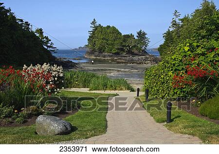 Crystal Cove Beach Resort's Well-Manicured Walkway To Beach; Tofino, Vancouver Island, British Columbia, Canada View Large Photo Image Stock Image - Crystal Cove Beach Resort's Well-Manicured Walkway To Beach; Tofino, Vancouver Island, British Columbia, Canada. Fotosearch