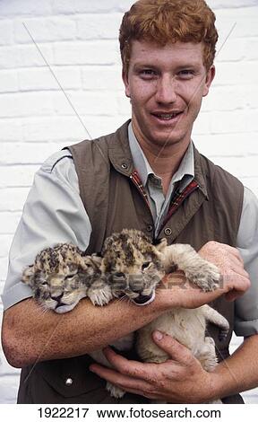 Cubs Being Held By Game Attendant At Seaview Game Reserve View Large Photo Image Stock Photo - Cubs Being Held By Game Attendant At Seaview Game Reserve. Fotosearch