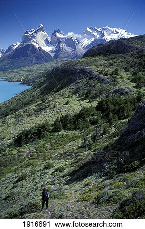 Stock Image - Cuernos Del Paine (2600M) & Monte Almirante Nieto (2668M). P. N. Torres Del Paine. Near Puerto Natales. Patagonia, Chile. Fotosearch