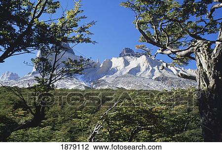 Stock Image - Cuernos Del Paine. Fotosearch