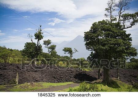 Stock Photography - Cultivated Land; Antigua, Guatemala. Fotosearch