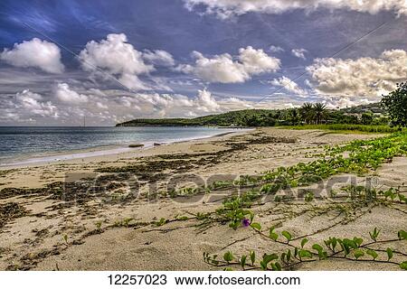Cumulus clouds over Dickenson Bay; St. John's, Antigua, West Indies View Large Photo Image Stock Image - Cumulus clouds over Dickenson Bay; St. John's, Antigua, West Indies. Fotosearch