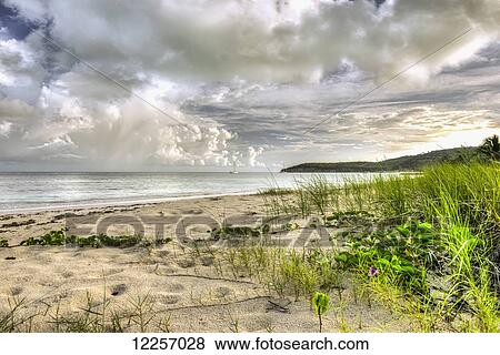 Cumulus clouds over Dickenson Bay; St. John's, Antigua, West Indies View Large Photo Image Stock Photo - Cumulus clouds over Dickenson Bay; St. John's, Antigua, West Indies. Fotosearch