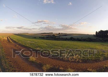 Curved Dirt Road, Fisheye Lens View Large Photo Image Stock Image - Curved Dirt Road, Fisheye Lens. Fotosearch