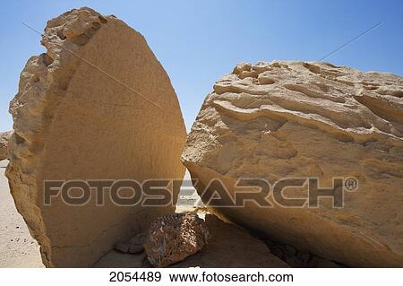 Stock Photo - Curved Spine Of A Baby Dorudon Whale Between Rock In Wadi Al-Hitan (Whale Valley), El Fayoum, Egypt. Fotosearch