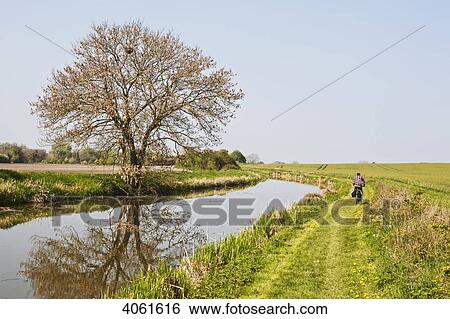 Cyclist cycling along canal side in open countryside; Wiltshire, England View Large Photo Image Stock Photograph - Cyclist cycling along canal side in open countryside; Wiltshire, England. Fotosearch