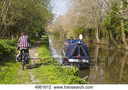 Stock Image - Cyclist cycling along canal side passing narrowboat; Wiltshire, England. Fotosearch
