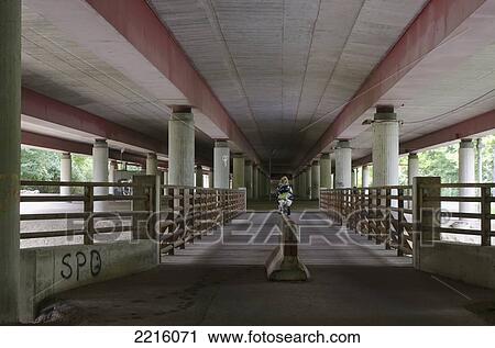 Cyclist Cycling Under Motorway Bridge At Prater, Vienna, Austria View Large Photo Image Stock Image - Cyclist Cycling Under Motorway Bridge At Prater, Vienna, Austria. Fotosearch