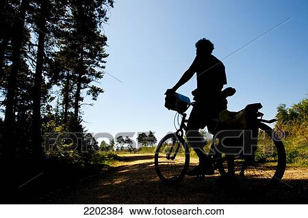 Cyclist Following A Cycle Route Around Brockenhurst, New Forest National Park, Hampshire, Uk View Large Photo Image Picture - Cyclist Following A Cycle Route Around Brockenhurst, New Forest National Park, Hampshire, Uk. Fotosearch
