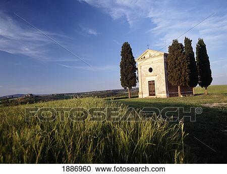 Cypress Trees Beside Small Chapel At Dusk Near San Quirico D'orcia View Large Photo Image Stock Image - Cypress Trees Beside Small Chapel At Dusk Near San Quirico D'orcia. Fotosearch