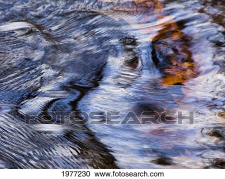 Dakota Rising, Massachusetts, Seekonk, Caratunk Wildlife Refuge, Water Patterns, Reflections And Leaves. View Large Photo Image Stock Image - Dakota Rising, Massachusetts, Seekonk, Caratunk Wildlife Refuge, Water Patterns, Reflections And Leaves.. Fotosearch