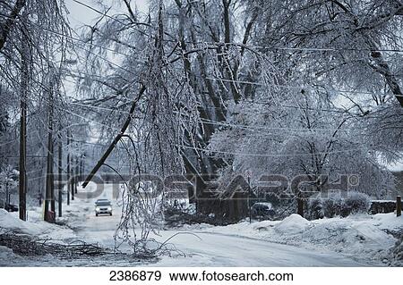 Stock Photo - Damage from December 21, 2013 ice storm on King Street; Georgetown, Ontario, Canada. Fotosearch