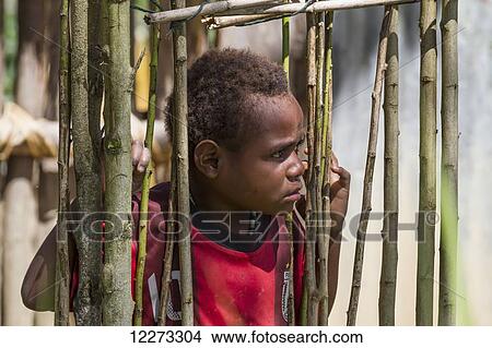 Dani boy, Baliem Valley, Central Highlands of Western New Guinea, Papua, Indonesia View Large Photo Image Picture - Dani boy, Baliem Valley, Central Highlands of Western New Guinea, Papua, Indonesia. Fotosearch