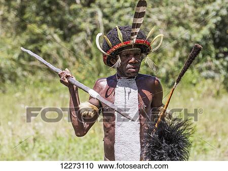 Stock Image - Dani man engaged in a mock battle with a long spear, in a display of prowess and opulence of dress and decoration, Obia Village, Baliem Valley, Central Highlands of Western New Guinea, Papua, Indonesia. Fotosearch