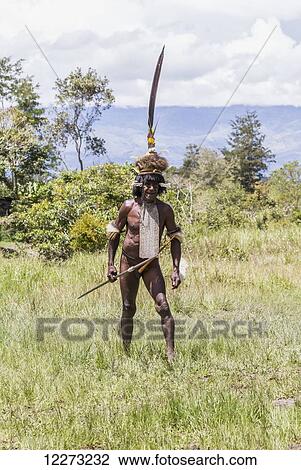 Dani man engaged in a mock battle with a long spear, in a display of prowess and opulence of dress and decoration, Obia Village, Baliem Valley, Central Highlands of Western New Guinea, Papua, Indonesia View Large Photo Image Stock Image - Dani man engaged in a mock battle with a long spear, in a display of prowess and opulence of dress and decoration, Obia Village, Baliem Valley, Central Highlands of Western New Guinea, Papua, Indonesia. Fotosearch
