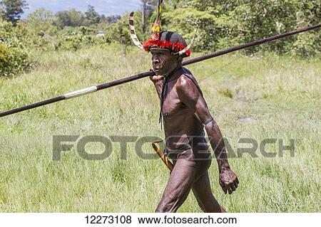 Stock Photo - Dani man engaged in a mock battle with a long spear, in a display of prowess and opulence of dress and decoration, Obia Village, Baliem Valley, Central Highlands of Western New Guinea, Papua, Indonesia. Fotosearch