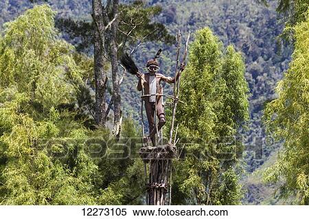Stock Photography - Dani man standing on guard on a watchtower, Obia Village, Baliem Valley, Central Highlands of Western New Guinea, Papua, Indonesia. Fotosearch