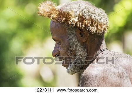 Stock Image - Dani man wearing an elaborate headdress of bird of paradise or cassowary feathers, Obia Village, Baliem Valley, Central Highlands of Western New Guinea, Papua, Indonesia. Fotosearch