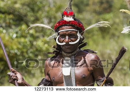 Stock Image - Dani man wearing bones on his nose and an elaborate headdress of bird of paradise or cassowary feathers, Obia Village, Baliem Valley, Central Highlands of Western New Guinea, Papua, Indonesia. Fotosearch