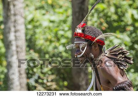 Stock Image - Dani man wearing bones on his nose and an elaborate headdress of bird of paradise or cassowary feathers, Obia Village, Baliem Valley, Central Highlands of Western New Guinea, Papua, Indonesia. Fotosearch