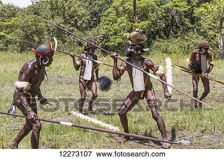 Stock Photo - Dani men engaged in a mock battle with long spears, in a display of prowess and opulence of dress and decoration, Obia Village, Baliem Valley, Central Highlands of Western New Guinea, Papua, Indonesia. Fotosearch