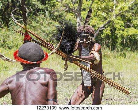 Stock Photo - Dani men engaged in a mock battle with long spears, in a display of prowess and opulence of dress and decoration, Obia Village, Baliem Valley, Central Highlands of Western New Guinea, Papua, Indonesia. Fotosearch