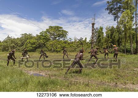 Dani men engaged in a mock battle with long spears, in a display of prowess and opulence of dress and decoration, Obia Village, Baliem Valley, Central Highlands of Western New Guinea, Papua, Indonesia View Large Photo Image Stock Photograph - Dani men engaged in a mock battle with long spears, in a display of prowess and opulence of dress and decoration, Obia Village, Baliem Valley, Central Highlands of Western New Guinea, Papua, Indonesia. Fotosearch