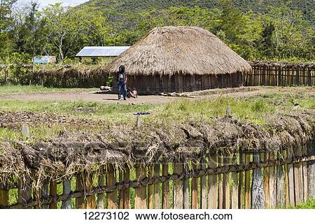 Stock Image - Dani village with honai (huts) covered by thick thatched roofs near Wamena, Baliem Valley, Central Highlands of Western New Guinea, Papua, Indonesia. Fotosearch