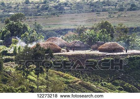 Stock Photo - Dani village with honai (huts) covered by thick thatched roofs near Wamena, Baliem Valley, Central Highlands of Western New Guinea, Papua, Indonesia. Fotosearch