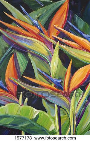 Danse Oiseaux Oiseau Paradis Fleurs Acrylic Painting Banque De Photo