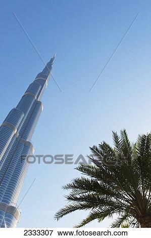 Stock Photo - Date Palm And Burj Khalifa; Dubai, United Arab Emirates. Fotosearch