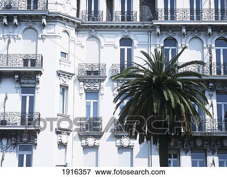Stock Photo - Date Palm In Front Of Hotel. Fotosearch