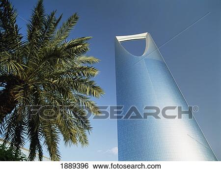 Stock Photograph - Date Palm In Front Of The Kingdom Centre. Fotosearch